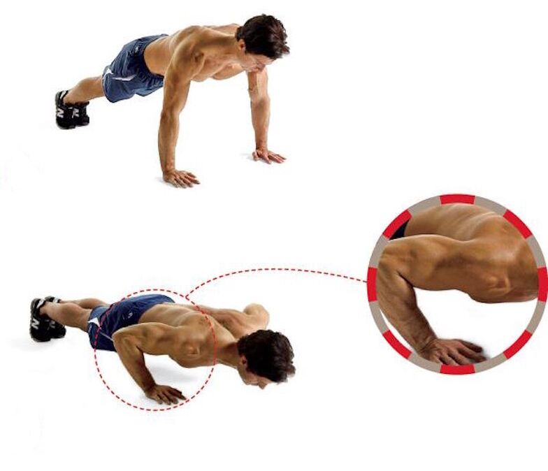 Push-ups develop strong arms and chest muscles